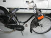 Solex peperbus